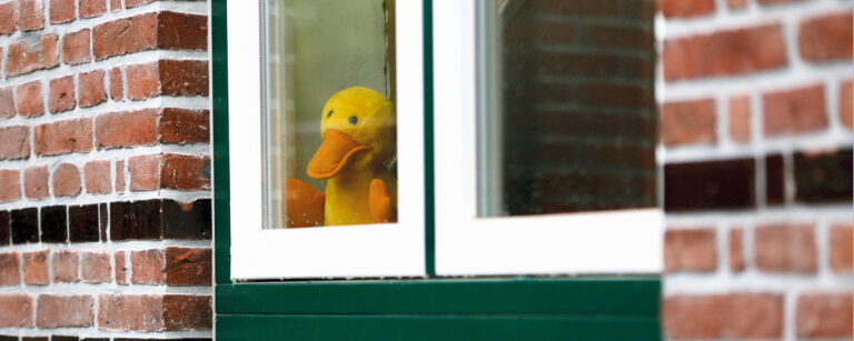 Beratung Therapie Ente Fenster